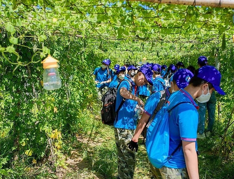 các trường học thường xuyên hoạt động ngoại khóa, trải nghiệm giáo dục. các trường học thường xuyên hoạt động ngoại khóa, trải nghiệm giáo dục.