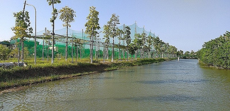 Dự án vẫn giữ nguyên mục tiêu ban đầu là nuôi cá rô phi Isarel công nghệ cao nhưng kết hợp dịch vụ du lịch sinh thái. Dự án vẫn giữ nguyên mục tiêu ban đầu là nuôi cá rô phi Isarel công nghệ cao nhưng kết hợp dịch vụ du lịch sinh thái.