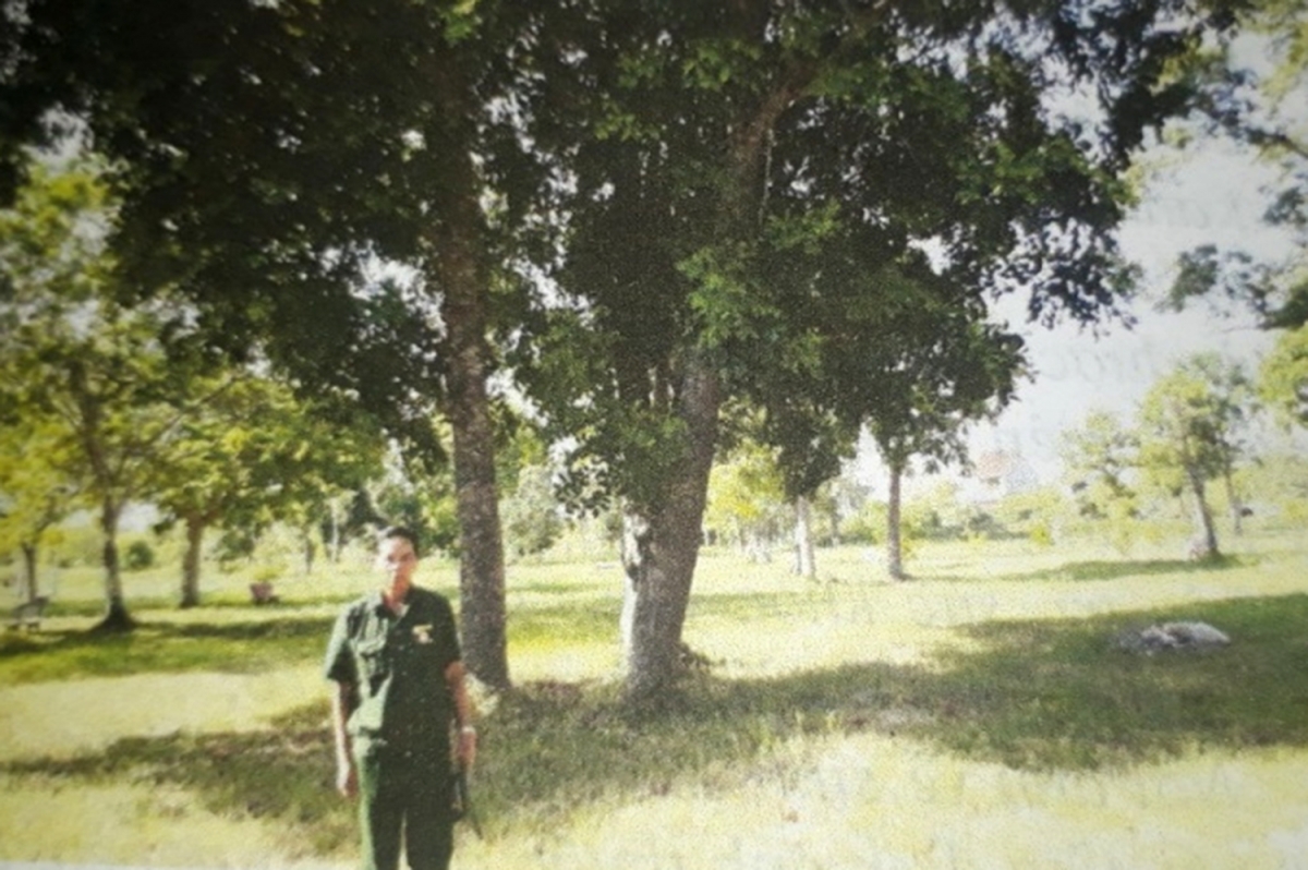 Vườn rừng của ông Bùi Văn Hên, xóm Tráng Đồi, xã Yên Phú Vườn rừng của ông Bùi Văn Hên, xóm Tráng Đồi, xã Yên Phú