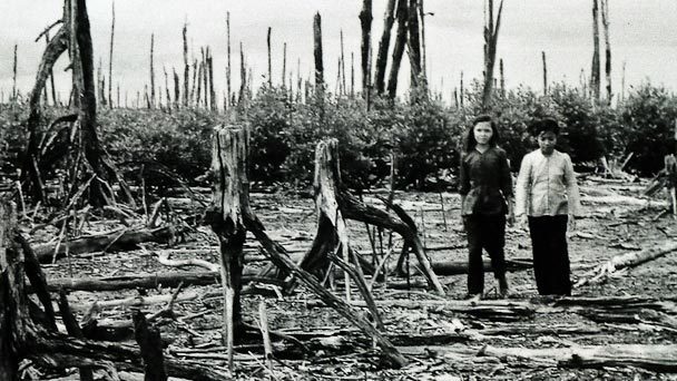 Đường dài chông gai của việc khắc phục hậu quả dioxin