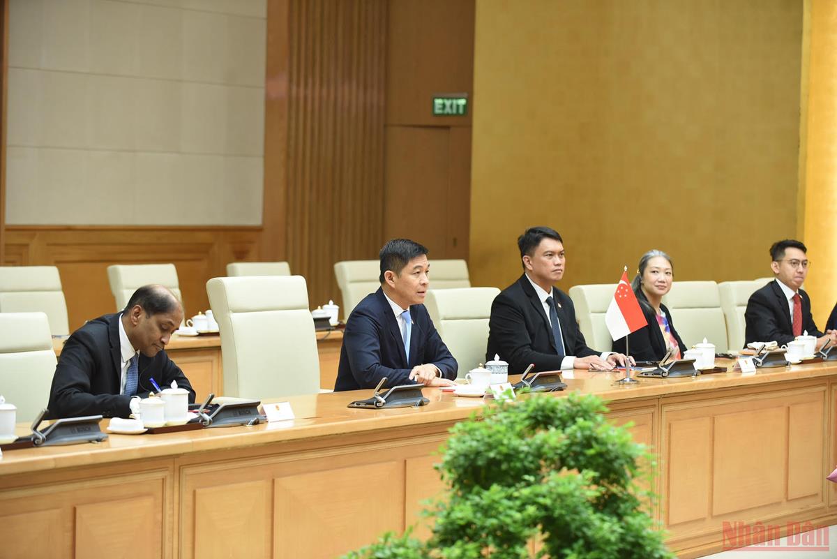 Thủ tướng Phạm Minh Chính tiếp Chủ tịch Quốc hội Singapore Tan Chuan-Jin -0