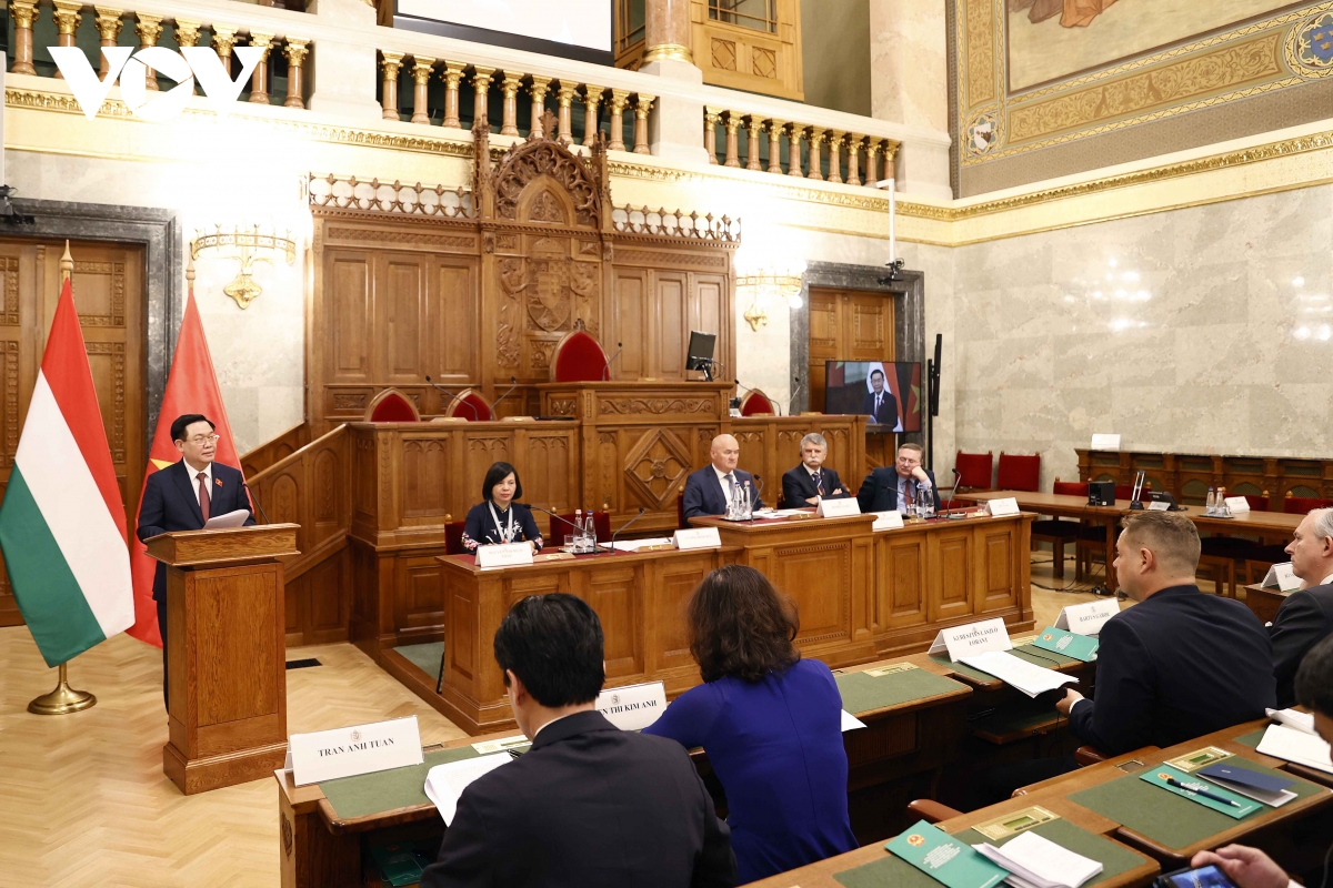 chu tich quoc hoi vuong Dinh hue du toa dam lap phap giua viet nam va hungary hinh anh 3