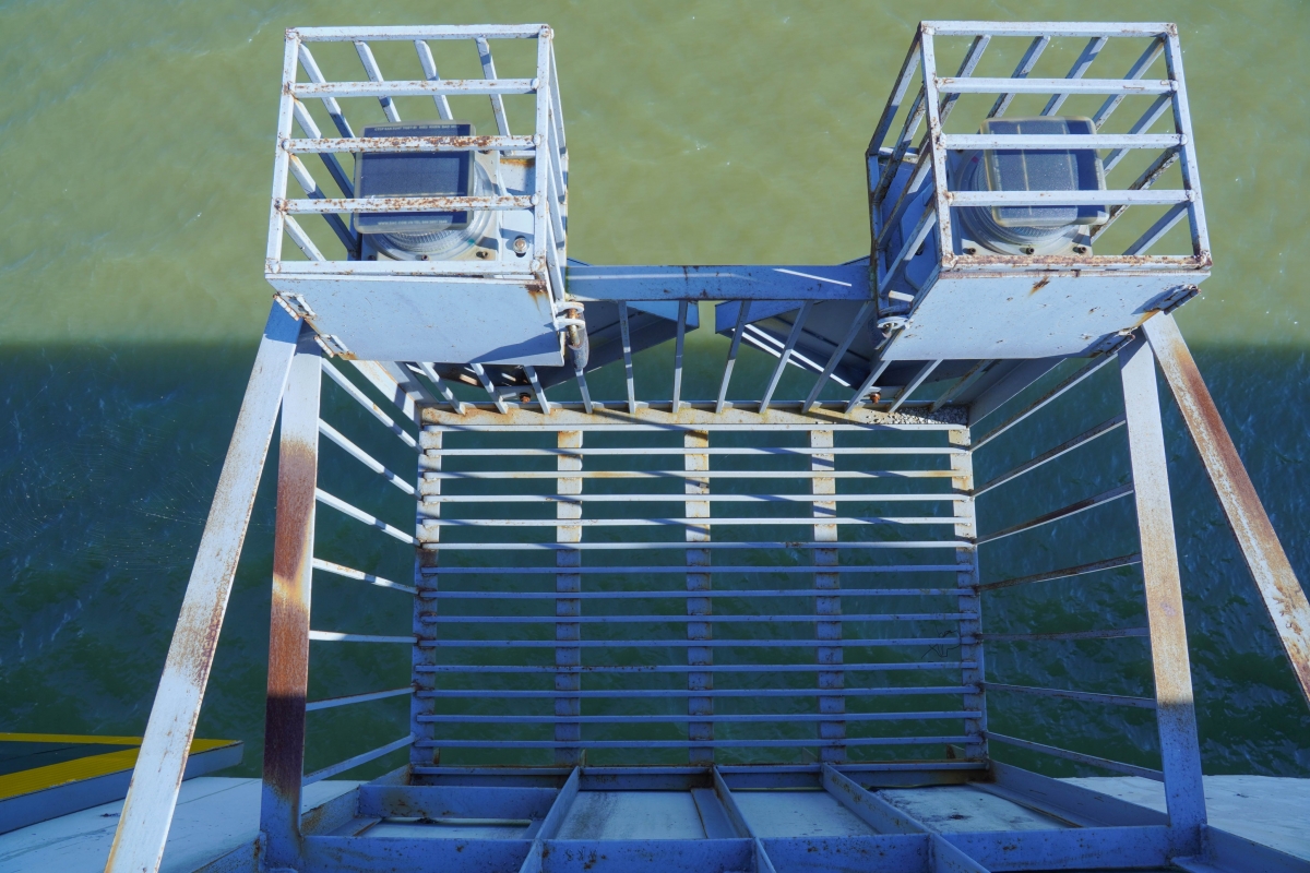 cay cau cut tram ty o bac giang xay xong 2 nam van de trung bay hinh anh 9