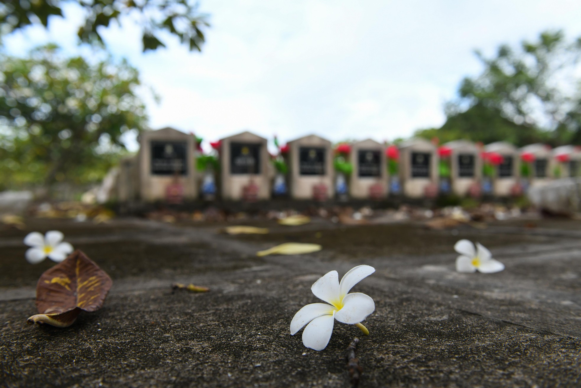Bài 1: Những nỗi đau chưa bao giờ nguôi ngoai ảnh 2