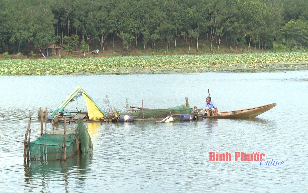 Vượt qua nỗi đau da cam Vượt qua nỗi đau da cam