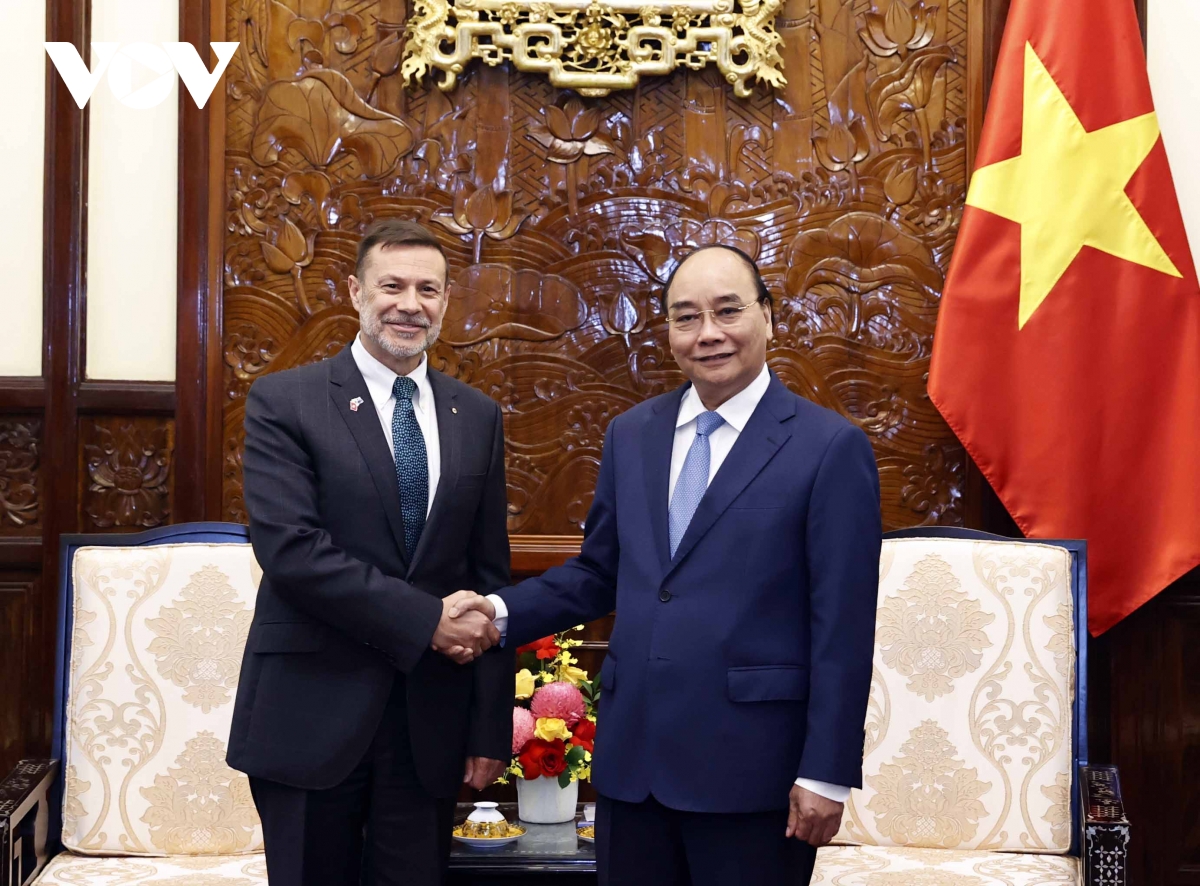 chu tich nuoc tiep Dai su ha lan, hungary, australia, luxembourg trinh quoc thu hinh anh 5