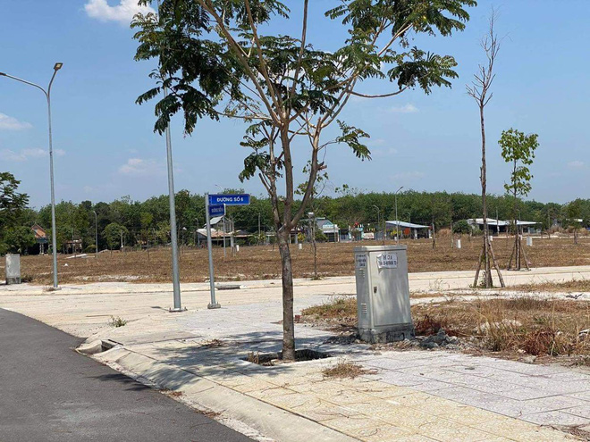 Cận cảnh Khu dân cư Đại Nam do đại gia Dũng &quot;lò vôi&quot; đầu tư hoang tàn, không bóng người - Ảnh 3