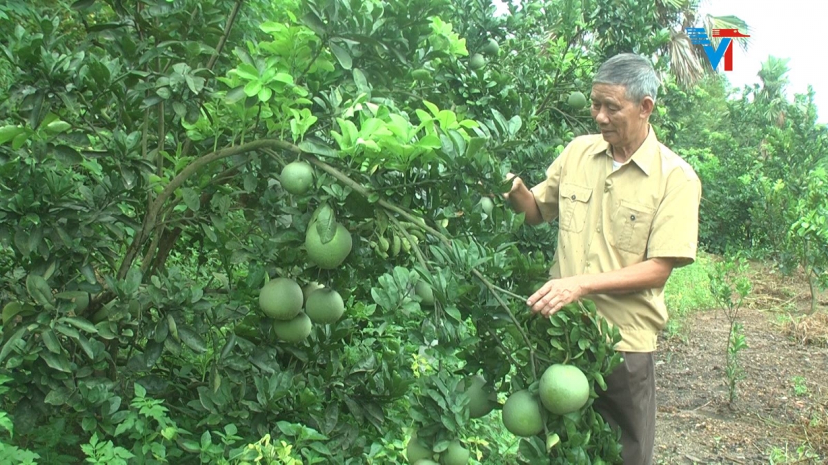 Beautiful flowers in daily life