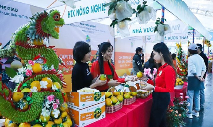 Hà Tĩnh gấp rút thực hiện Lễ hội Cam và các sản phẩm nông nghiệp