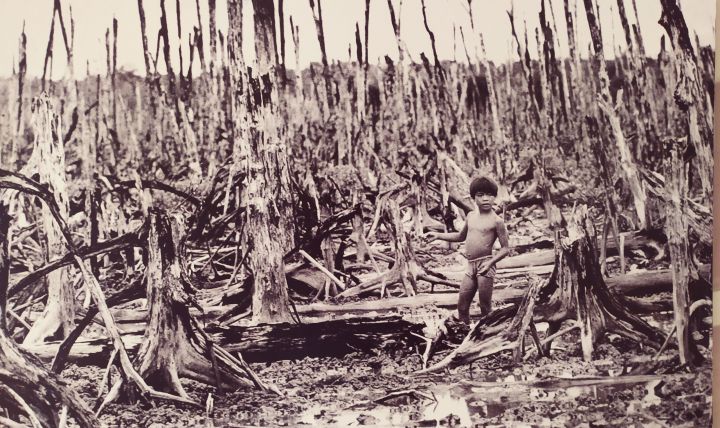 Tỉnh Cà mau triển khai “Kế hoạch hành động khắc phục hậu quả chất độc hóa học/dioxin giai đoạn 2022-2030”