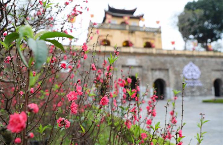 Hội thảo khoa học cấp quốc gia về Đề cương về văn hóa Việt Nam sẽ diễn ra ngày 27/2