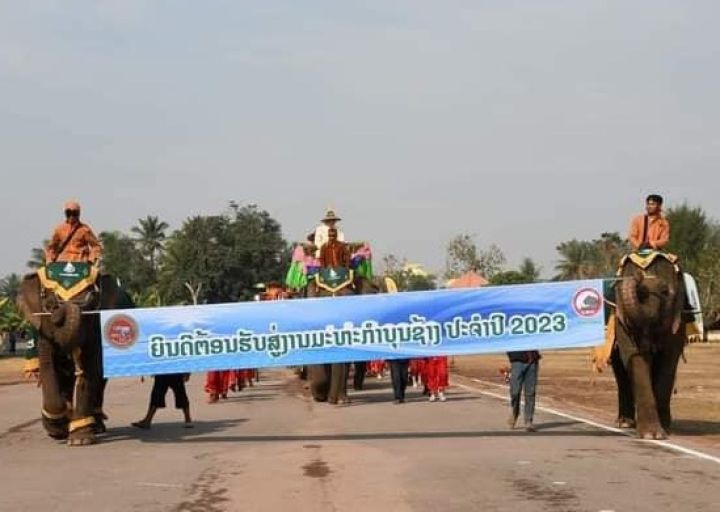Độc đáo Lễ hội Voi lần thứ 16 ở Lào