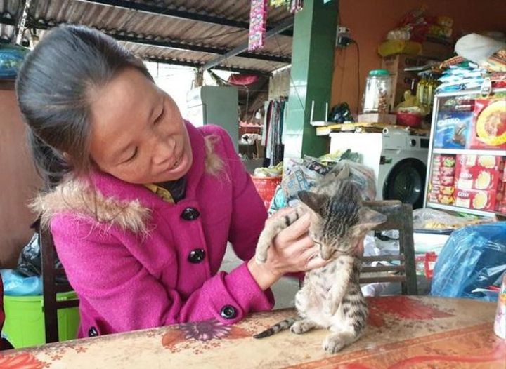 Vượt cấm cản, dị nghị, 