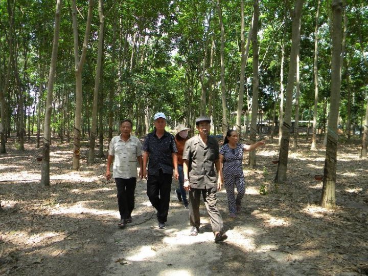 NHỮNG ĐẢNG VIÊN “TRIỆU PHÚ DA CAM”