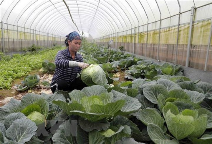 92 năm thành lập Đảng Cộng sản Việt Nam: Khi ý Đảng hợp lòng dân