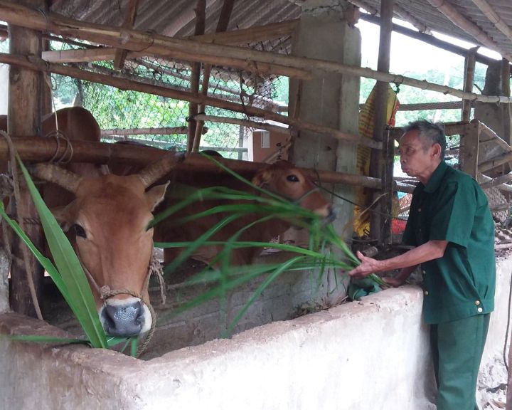 Stand tall despite Agent Orange pain