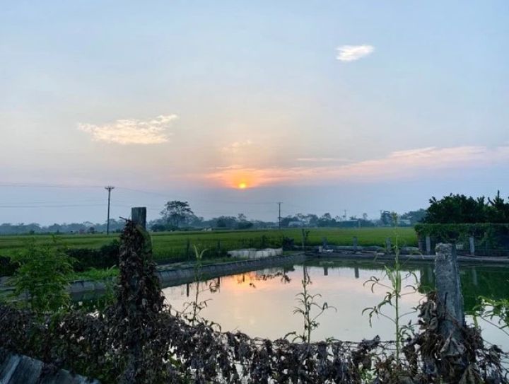 Hơn 20 năm trước, mảnh đất 200m2 được 7 triệu đồng đủ mua chiếc xe cup, giờ lô đất có giá 2,5 tỷ đồng