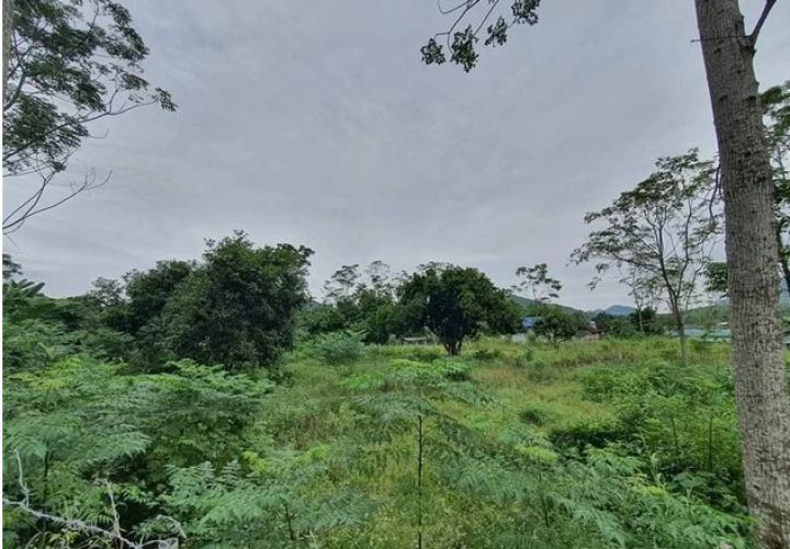 Mua đất farmstay kỳ vọng tăng gấp đôi, hơn 2 năm sau, nhà đầu tư F0 cay đắng chấp nhận chôn vốn