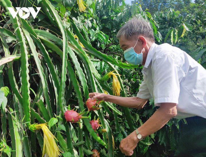 Xoa dịu nỗi đau ở vùng đất đầu tiên hứng chịu thảm họa chất độc da cam/dioxin