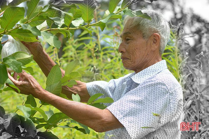 Phía sau những nỗi đau da cam