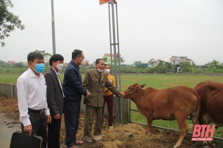 Trao vốn vay của Đại sứ quán Cộng hòa Ailen cho nạn nhân chất độc da cam