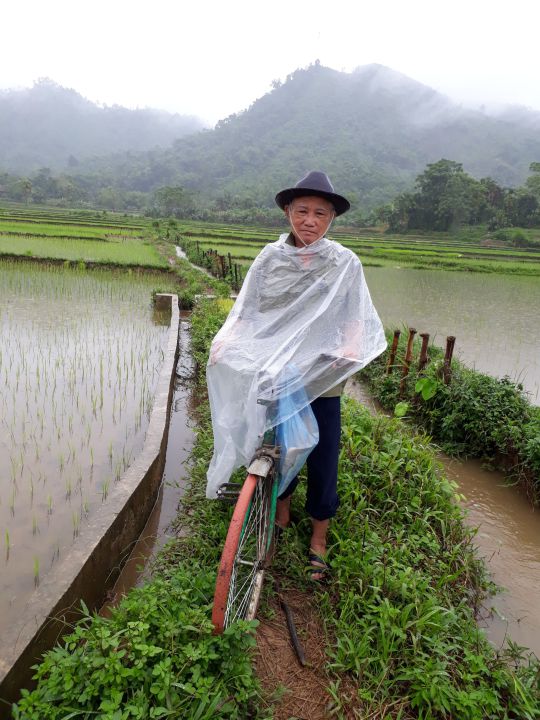 “Ông Tuất chính sách”