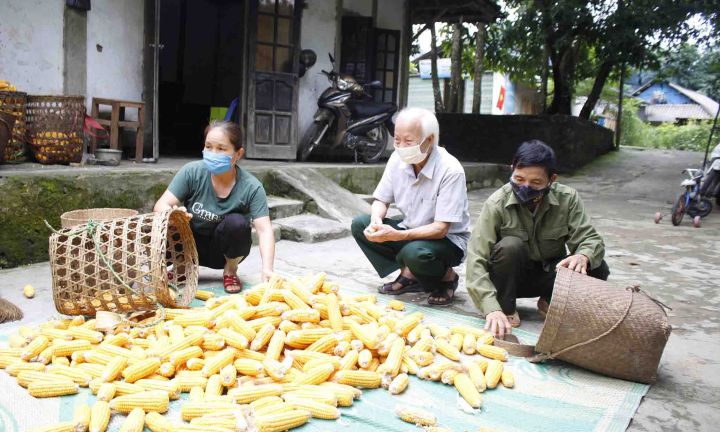 Nạn nhân tỉnh Lai Châu: Vượt lên nỗi đau da cam