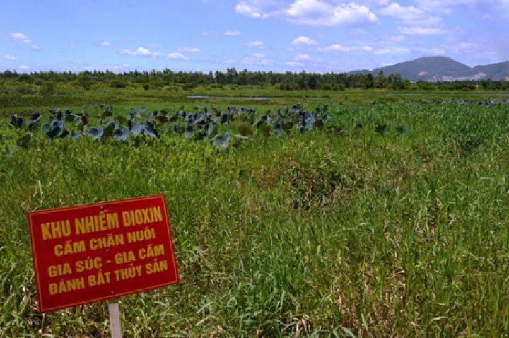 Báo Singapore viết về nỗi đau da cam sau chiến tranh