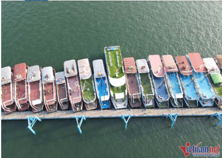 Tiền công 2 triệu/ngày vẫn không thuê nổi nhân viên chạy tàu du lịch