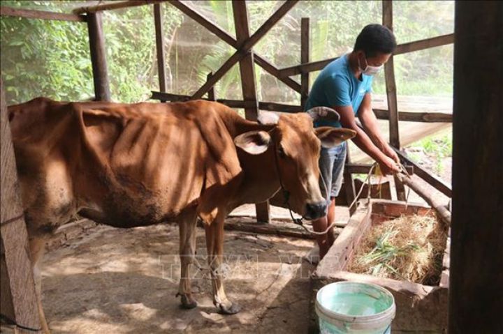 Hộ nghèo dân tộc thiểu số được vay hỗ trợ nhà ở không quá 40 triệu đồng/hộ