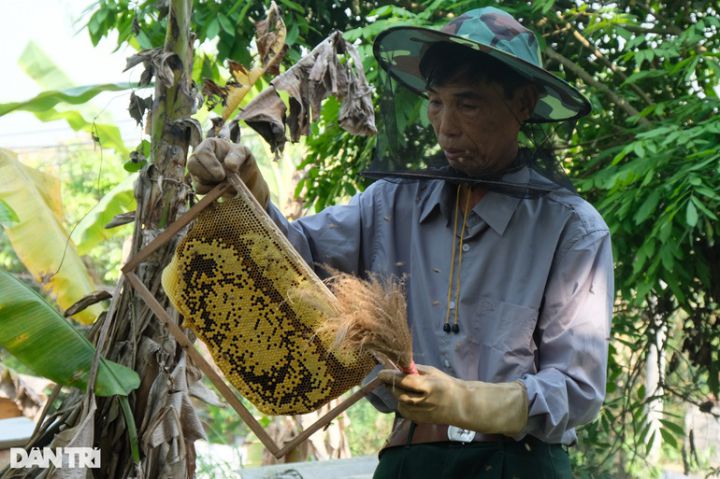 Từ 2 đàn ong tài trợ, ông Ân đã vượt khó làm giàu