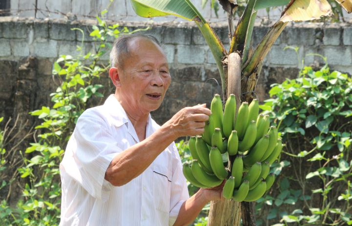 Chuyện người lính Điện Biên năm ấy