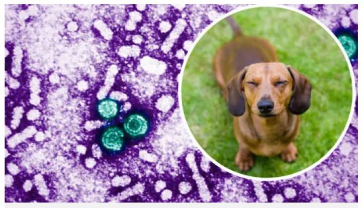 Số ca viêm gan bí ẩn ở trẻ trên thế giới chạm ngưỡng 300: 9 dấu hiệu không được bỏ qua