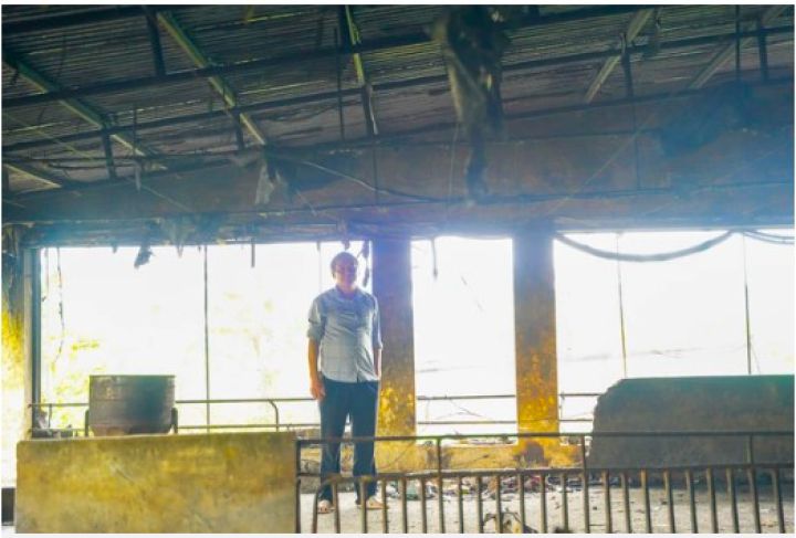 Gia chủ xúc động nhìn cả trăm người xếp hàng thâu đêm "giải cứu" 229 con lợn bị sét đánh