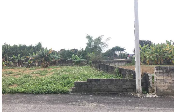 Ôm mảnh ruộng ngàn m2 rồi bỏ hoang: Giấc mộng 10 năm ăn cú đậm