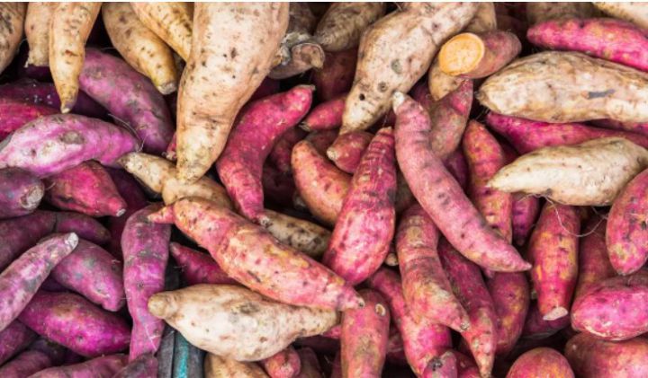 "Nhân sâm" siêu rẻ ở Việt Nam du nhập Trung Quốc, cứu đói hàng trăm triệu người