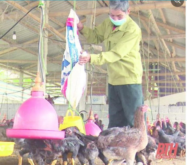 Cựu chiến binh vượt khó làm giàu
