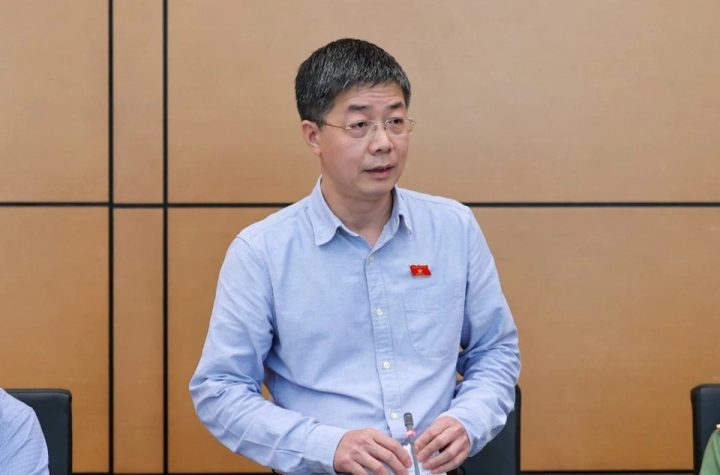 ĐBQH hoài nghi về sức khỏe các tập đoàn lớn sau vụ FLC, Tân Hoàng Minh