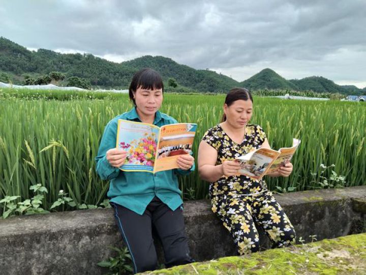 Lợi ích của Tạp chí Da cam Việt Nam đối với cơ sở