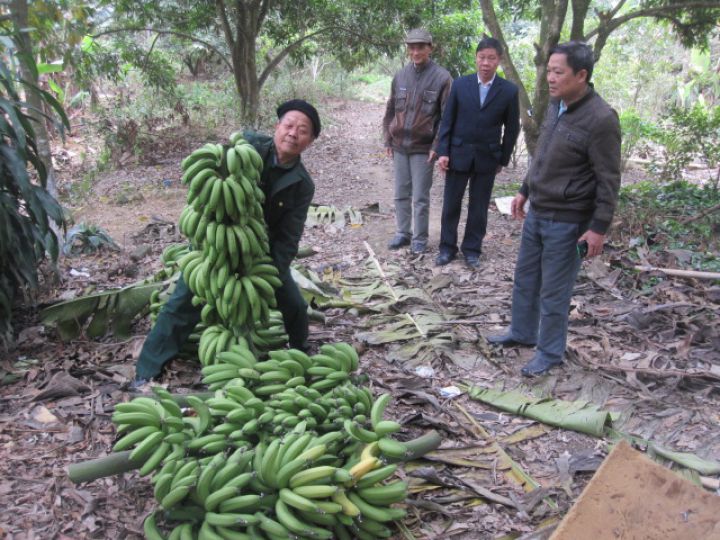 Chăm sóc hỗ trợ nạn nhân chất độc da cam thường xuyên theo địa chỉ gia đình ở Thái Nguyên
