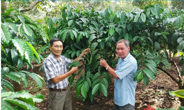 Cựu chiến binh gương mẫu, nhân ái
