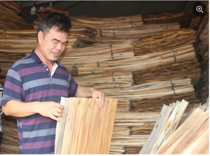 Cựu chiến binh làm kinh tế giỏi: Khẳng định bản lĩnh dám nghĩ, dám làm