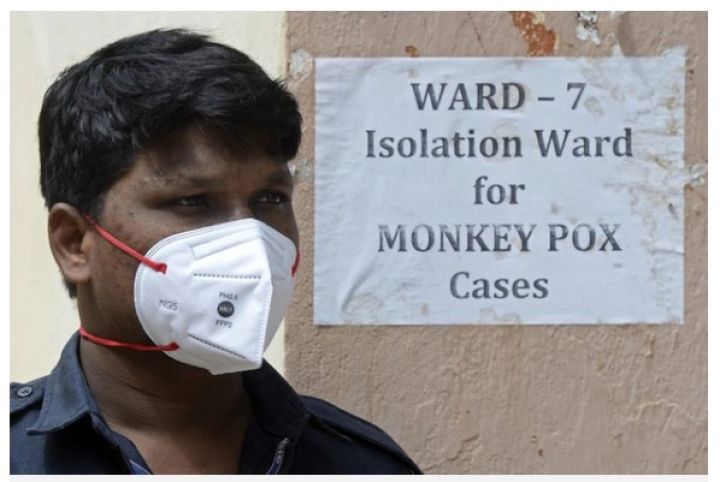 WHO Việt Nam: Nguy cơ đậu mùa khỉ tại Việt Nam 