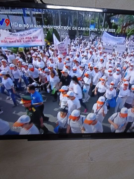 Chương trình Đi bộ Vì nạn nhân chất độc da cam- năm 2022