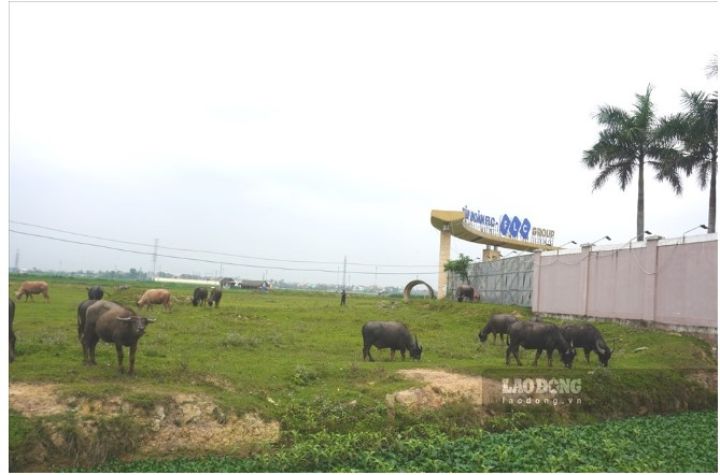 Thực trạng 7 dự án của FLC ở Thanh Hóa bị Bộ Công an đề nghị cung cấp hồ sơ