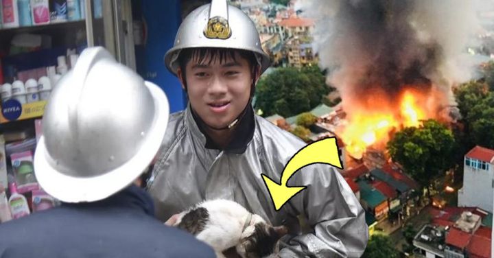 Chân dung chàng chiến sĩ có nụ cười ấm áp đã giải cứu sinh vật bé nhỏ