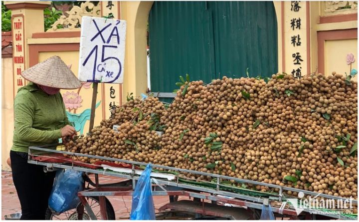 Nhãn ồ ạt xuống phố, giá rẻ bằng mớ rau muống