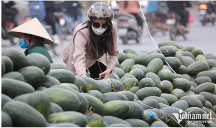 Xuất khẩu lẹt đẹt, rau quả sang Trung Quốc lại nhận thêm tin dữ