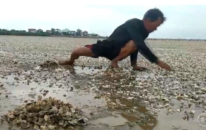 Hà Tĩnh: Đã tìm ra nguyên nhân ngao ở Lộc Hà chết hàng loạt