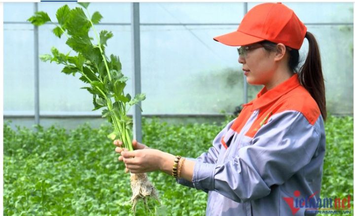 9X khởi nghiệp, ngày chỉ ăn 1 ổ bánh mì nay thu 18 tỷ/năm